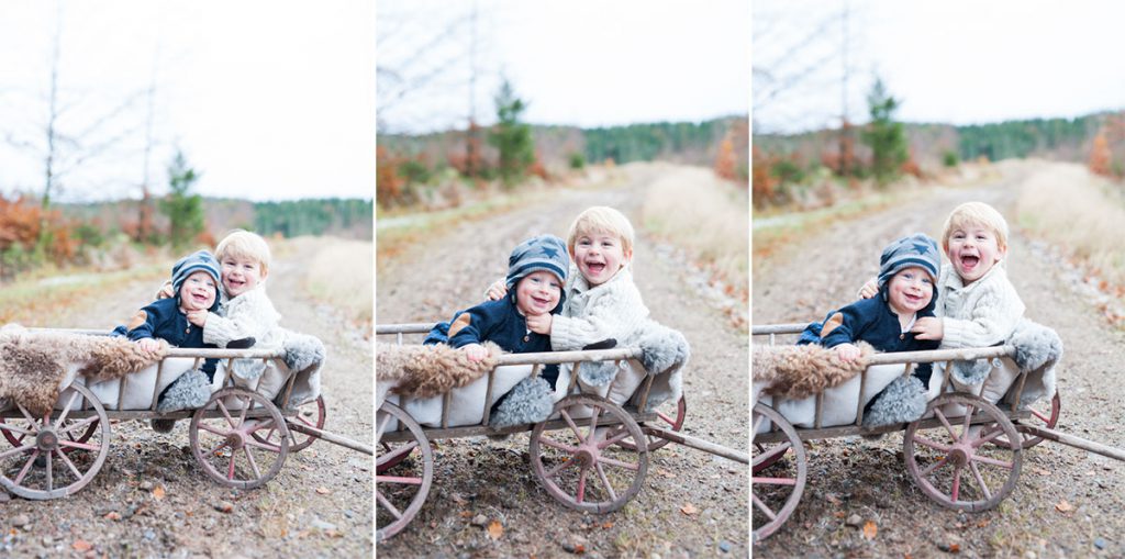 evelinas-foto-alfred-valter-skogen-torsgarden-fotografering